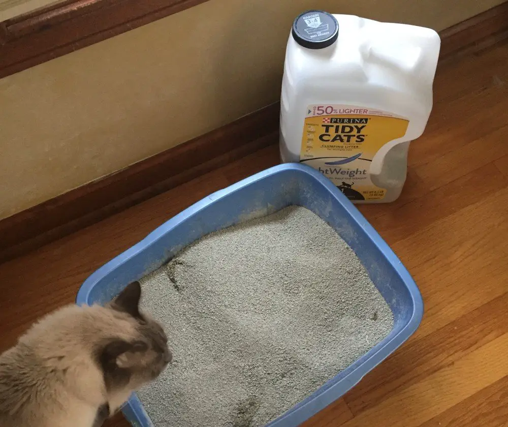 tidy cats lightweight cat litter problems