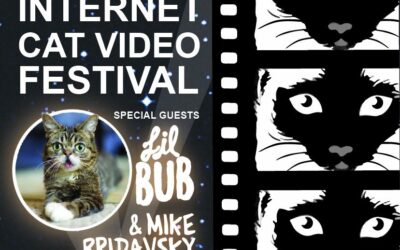 CATVIDFEST 2015 – CHICAGO