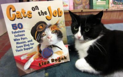 CATS ON THE JOB – MEET 50 WORKING FELINES