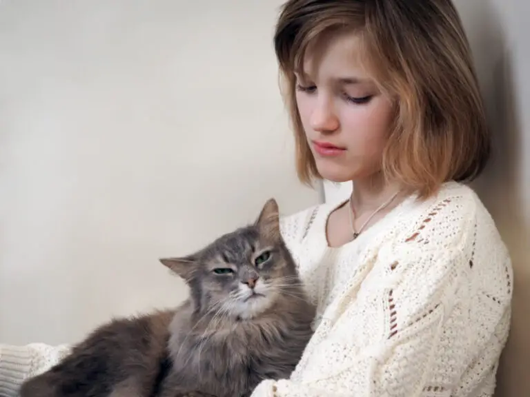 How Cats Help Us Cope With Grief | The Catnip Times