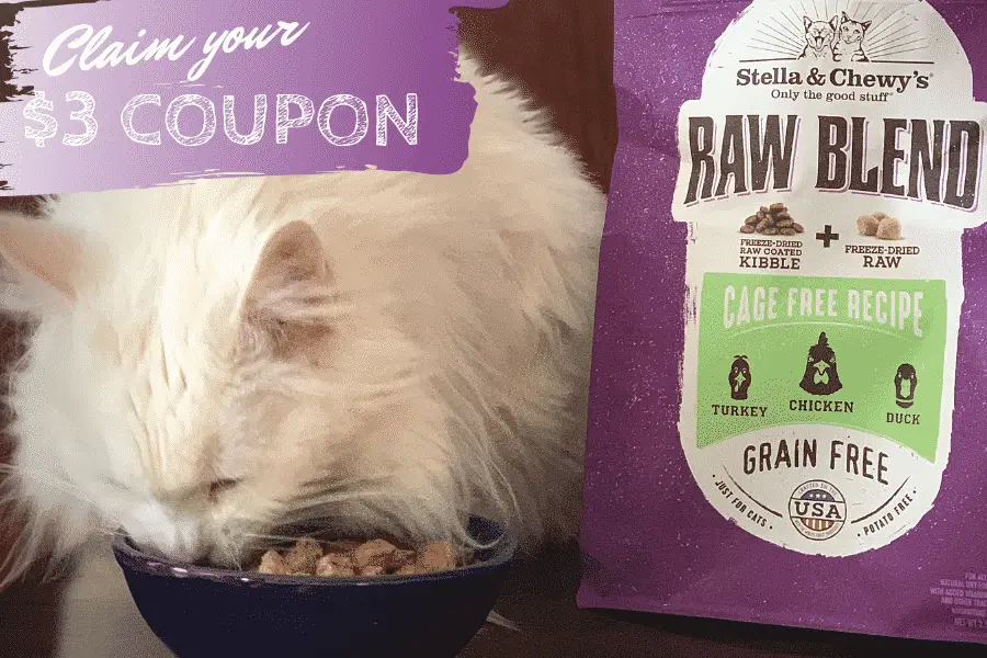 Stella and chewy raw coated kibble review sale