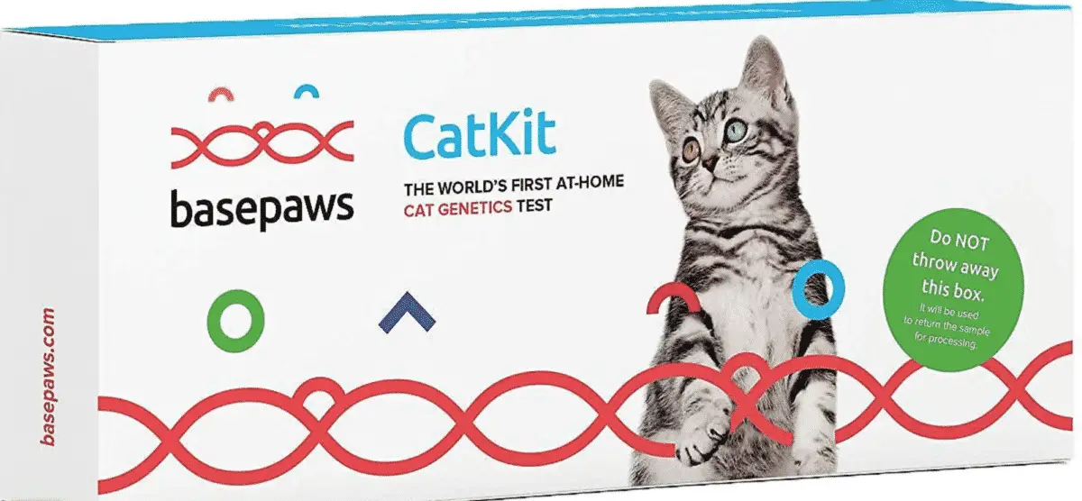 BasePaws CatKit