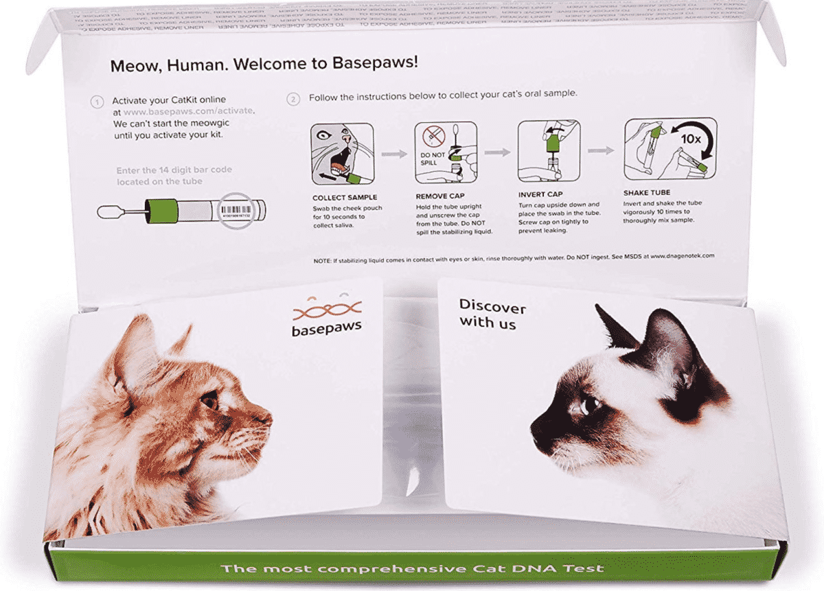 BasePaws CatKit 2