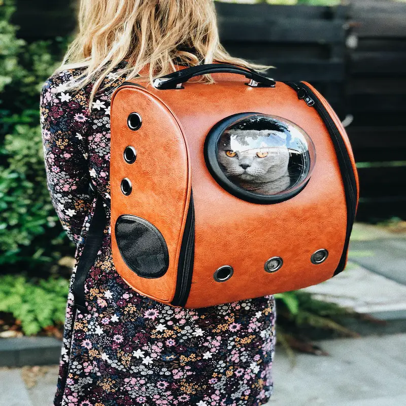 What to Know Before Buying a Cat Backpack - Pet Insurance Review