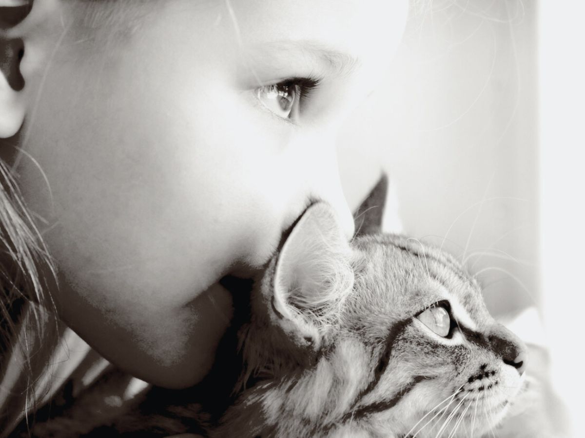 lonely young girl holding a cat who is offering emotional support to the girl.