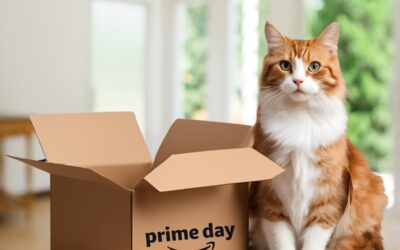 10 Can’t Miss Amazon Prime Day Deals For Cats