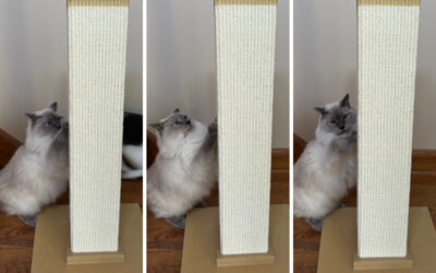 Why the SmartCat Ultimate Scratching Post is a Must-Have for Every Cat Owner