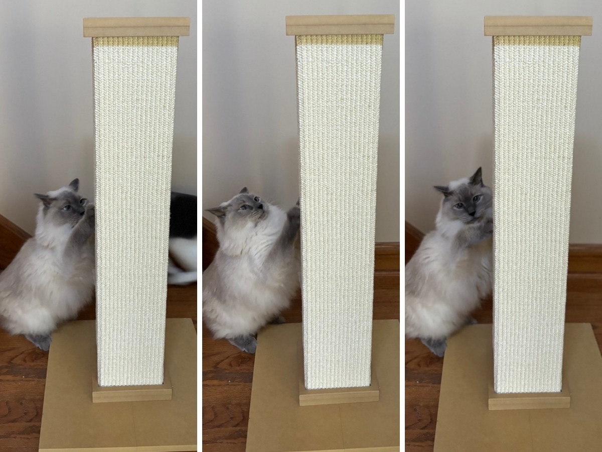 SmartCat Ultimate Scratching Post